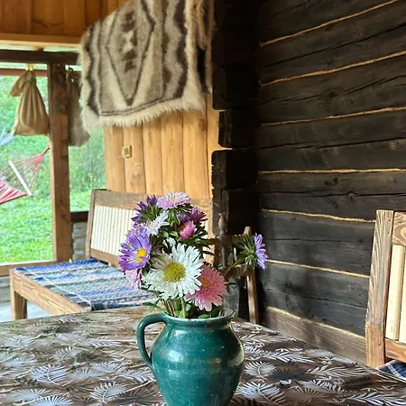 Petrashiv Behind The River