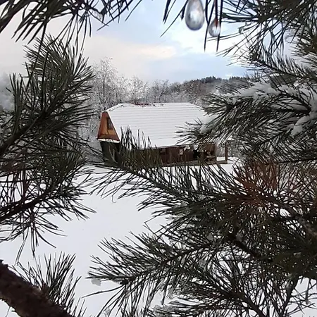 Petrashiv Behind The River Holiday home
