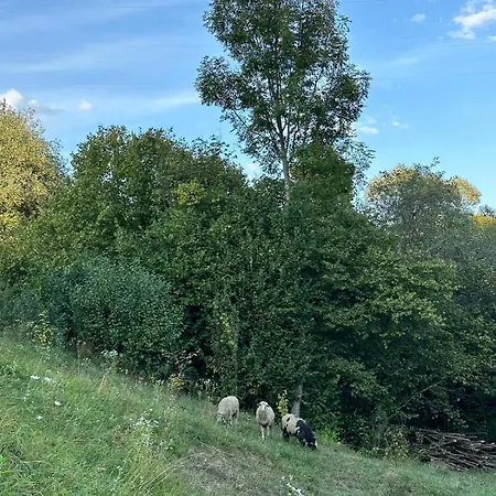 Petrashiv Behind The River Ferienhaus