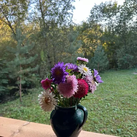 Petrashiv Behind The River